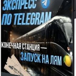   -   Telegram.    (2025) 