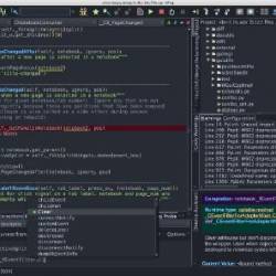 Wing Pro 11.0.6 (x64)