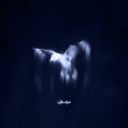 Golden Blue - Afterlight (2025)