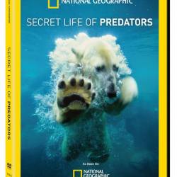    (4   4) / Secret Life of Predators (2013) HDTVRip (AVC)