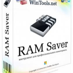 RAM Saver Professional 14.0 ML/RUS