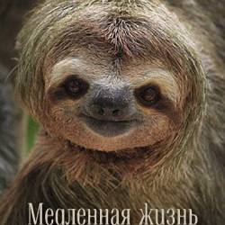  .    / Slow Lofe. Sloths: Panama (2012) HDTVRip