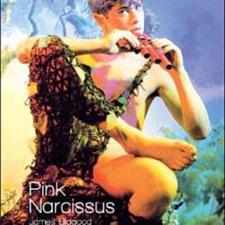   / Pink Narcissus  SATRip  