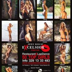 Official Calendar (2015 )  Sexy Disco Excelsior