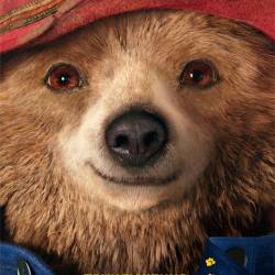   / Paddington (2014) BDRip/1080p/720p + HDRip 1,46Gb/700Mb | !