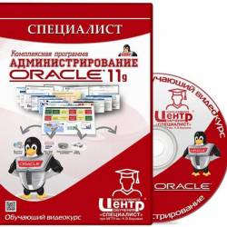   :  Oracle 11g (2013)