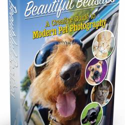 Beautiful Beasties: A Creative Guide to Modern Pet Photography