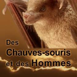     / Des Chauves-souris et des Hommes (2009) HDTVRip (720p)