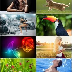 Mix Wallpaper - Beautiful Collection #888