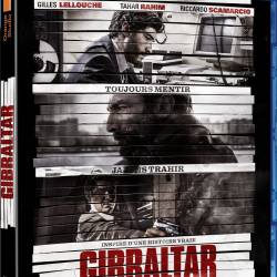  /  / Gibraltar / The Informant (2013) HDRip - , 