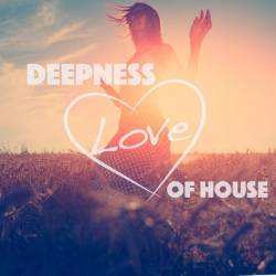 Deepness Love of House (2016)