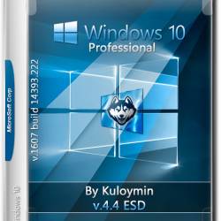 Windows 10 Pro x86/x64 1607 Build 14393.222 by Kuloymin v.4.4 ESD (RUS/2016)