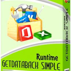 Runtime GetDataBack Simple 3.13 + Portable