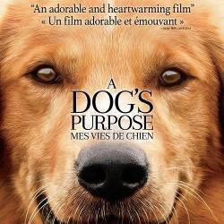   / A Dog's Purpose (2017) HDRip/BDRip 720p/BDRip 1080p/