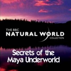 BBC:  .    / Natural World. Secrets of the Maya Underworld (2005) HDTVRip