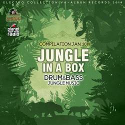 Jungle In A Box (2019) Mp3