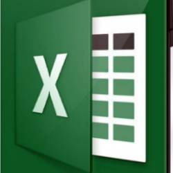    Microsoft Excel (2020) 
