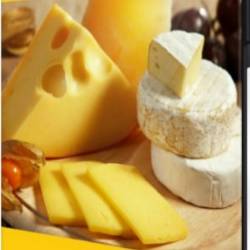 ���� ��������� ��������� + ������ (2019) CAMRip