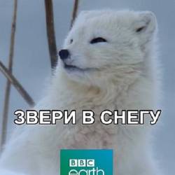 Звери в снегу / Зимняя сказка для зверей / Snow Animals (2019) DVB