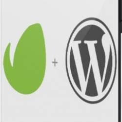   Wordpress  Envato (2021) 