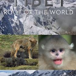 :   / Tibet: Roof of the World (2019) HDTVRip 720p