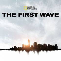   / The First Wave (2021) WEBRip 1080p