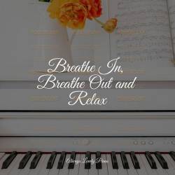 Piano Pianissimo - Breathe In, Breathe Out and Relax (2022) FLAC - New Age, Piano