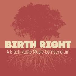 Birthright A Black Roots Music Compendium (2023) FLAC - Blues, Country, Folk