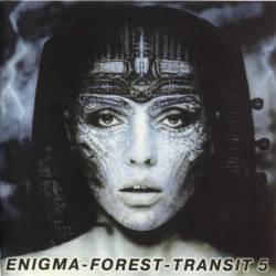 Enigma-Forest-Transit 5 (1998) OGG - Electronic, Ambient, New Wave