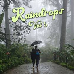 Raindrops Vol 5 (2023) - Pop, Dance, Rock, RnB