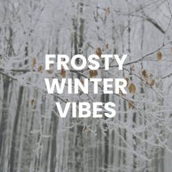 Frosty Winter Vibes (2023) - Pop, Rock