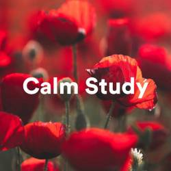 Calm Study (2023) - Electronic, Lounge