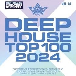 Deephouse Top 100 Vol.14 (2024)