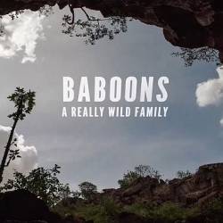Viasat Nature:    / Baboons: A Really Wild Family (2021) HDTVRip 720p