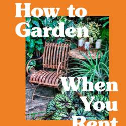 How to Garden When You Rent: Make It Your Own *Keep Your Landlord Happy - Matthew Pottage