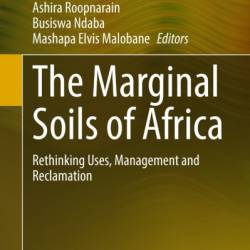 The Marginal Soils of Africa: Rethinking Uses, Management and Reclamation - Adornis Dakarai Nciizah (Editor)