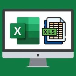 Microsoft Excel 365 Essentials