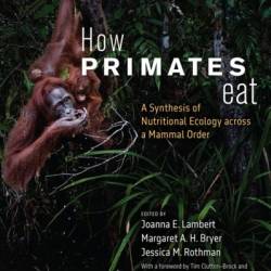 How Primates Eat: A Synthesis of Nutritional Ecology across a Mammal Order - Joanna E. Lambert -Brock (Foreword by)