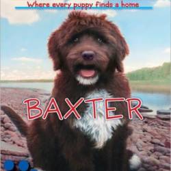 Baxter - Ellen Miles