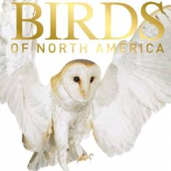 American Museum of Natural History: Pocket Birds of North America, Eastern Region: The Ultimate Photographic Guide - Stephen Kress