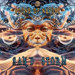 Sand Storm (2024) FLAC - Psy Trance