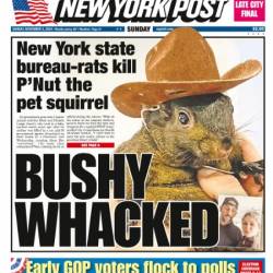 New York Post - November 3, 2024