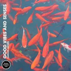 Good Vibes and Senses (2024) FLAC - Funky, Club House