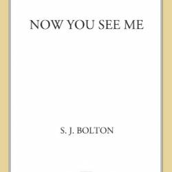 Now You See Me: A Lacey Flint Novel - Sharon Bolton