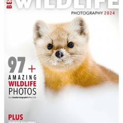 Canadian Geographic - Best WildLife Photography, 2024