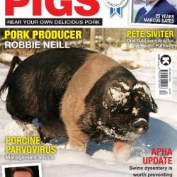 Practical Pigs - Winter 2024