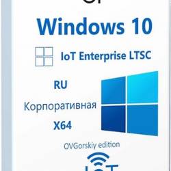 Windows 10 IoT Enterprise LTSC 2021 21H2 x64  by OVGorskiy 12.2024 (RUS/2024)