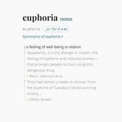 VA - euphoria (2024)