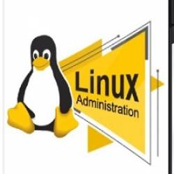 []  ,   - Linux .  1-2 (2024) 