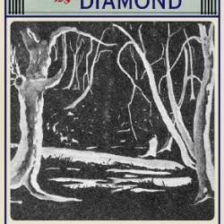 THE BLUE DIAMOND - HAYNES